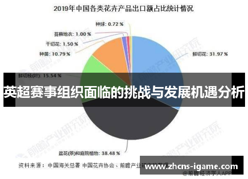 英超赛事组织面临的挑战与发展机遇分析