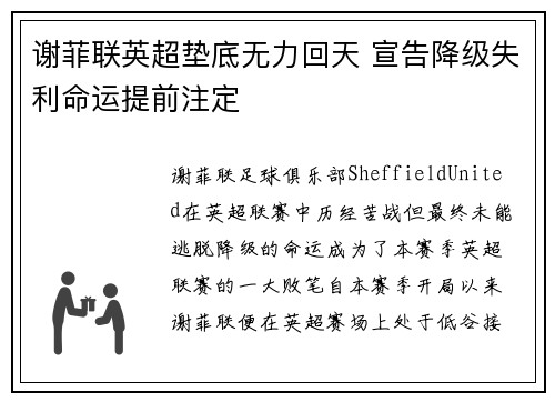 谢菲联英超垫底无力回天 宣告降级失利命运提前注定